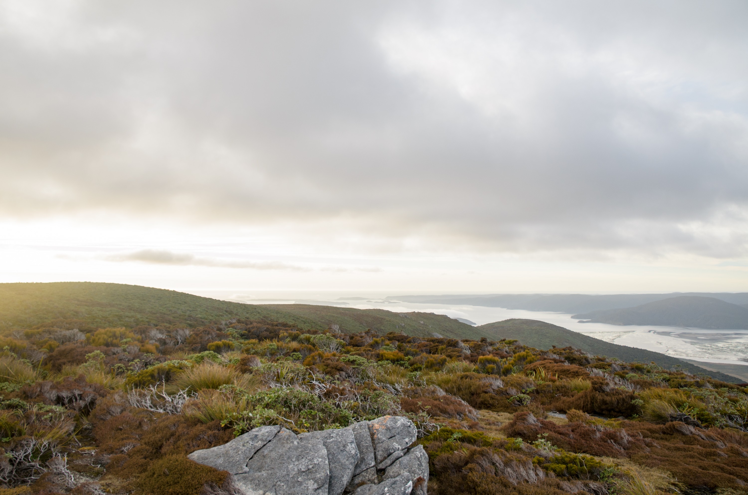 DSC_2264 – Adventure, Crispin, Freshwater, Freshwater Hut, Hut, Island, March 2017, Mason, Mason Bay, National Park, New, New Zealand, Rakiura, South, Stewart, Zealand